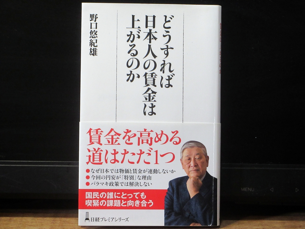 どうすれば日本人の賃金は上がるのかの表紙