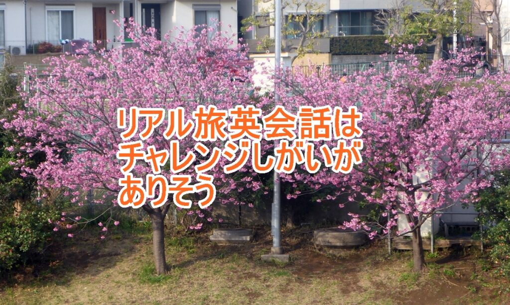 リアル旅英会話のタイトル画像
