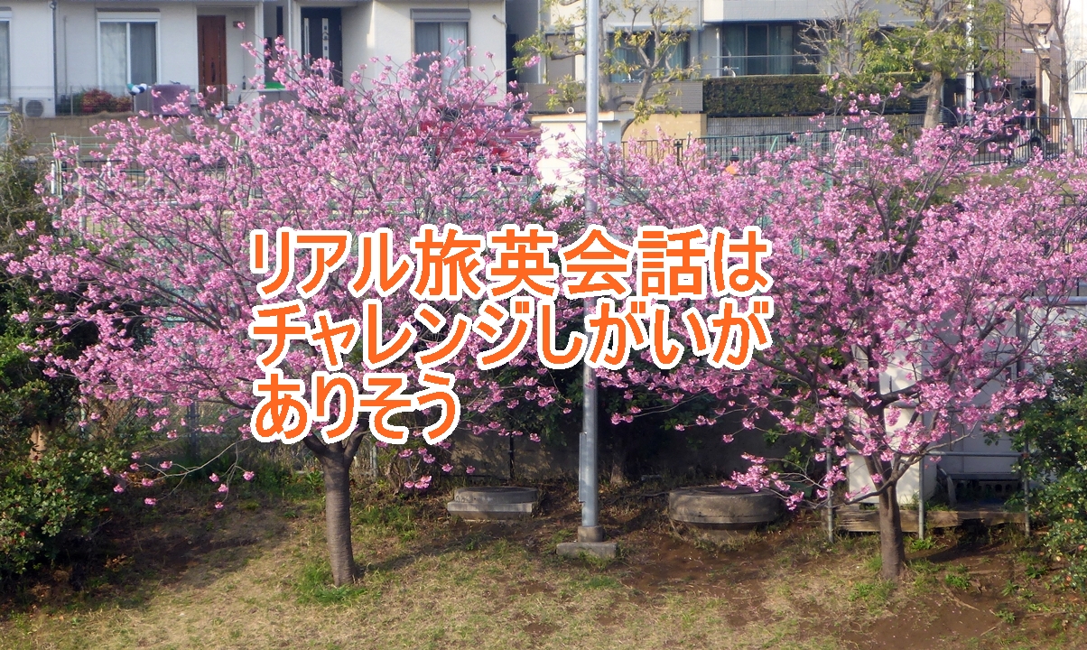 リアル旅英会話のタイトル画像