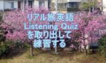 旅英語クイズを取り出すのタイトル画像