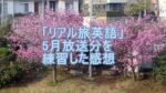 旅英語5月放送のクイズを練習のタイトル画像