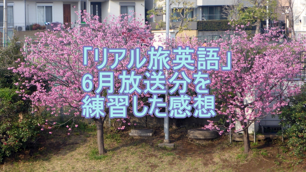 旅英語6月のクイズを練習した感想のタイトル画像