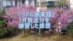 リアル旅英語7月のクイズを練習した感想のタイトル画像