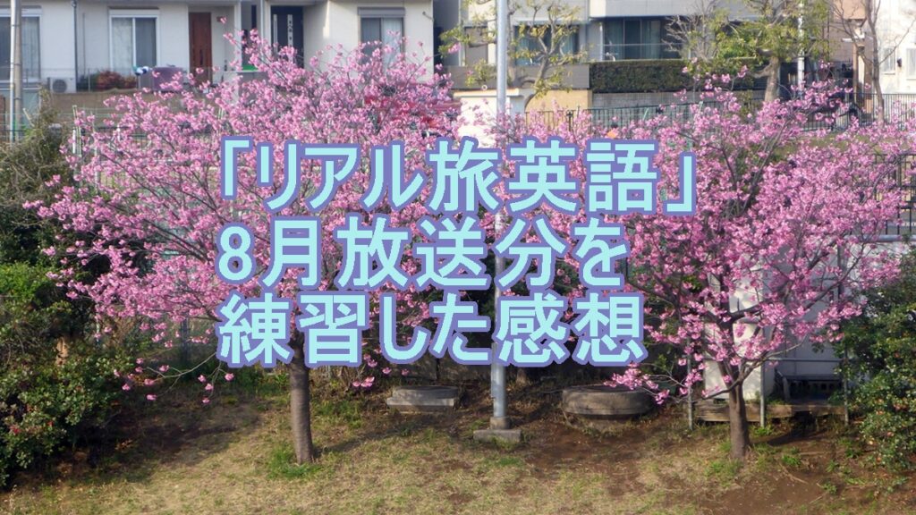 リアル旅英語8月のクイズを練習した感想のタイトル画像
