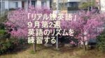 リアル旅英語9月第2週のタイトル画像