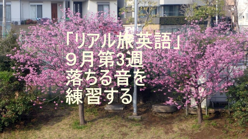 リアル旅英語9月第3週のタイトル画像