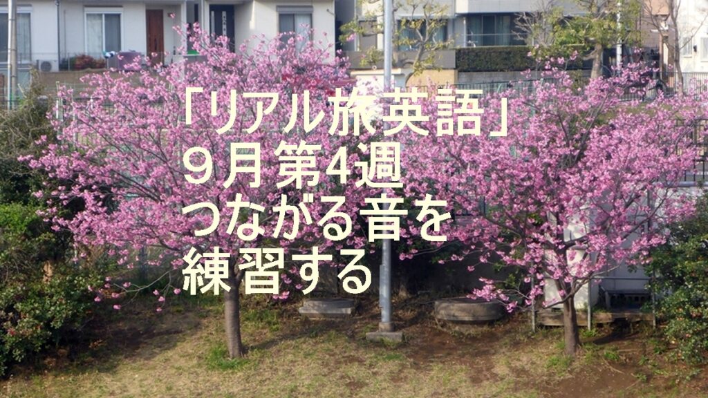 リアル旅英語9月第4週のタイトル画像