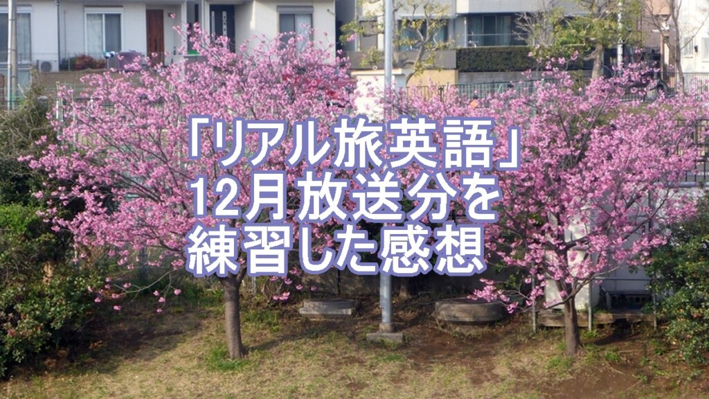 リアル旅英語12月放送の練習のタイトル画像