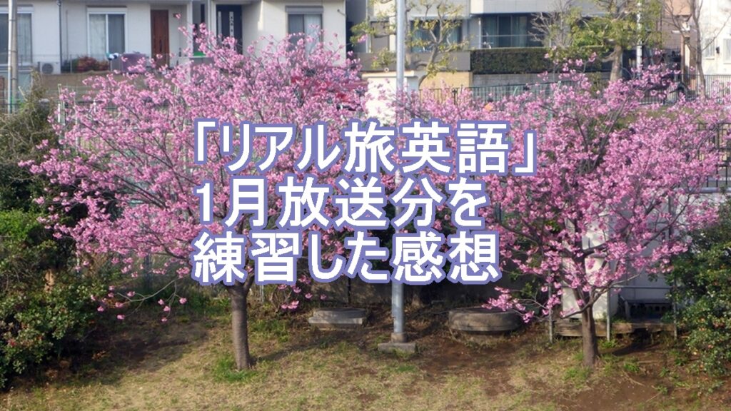 リアル旅英語1月宝蔵文の感想のタイトル画像