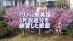 リアル旅英語3月放送の感想のタイトル画像