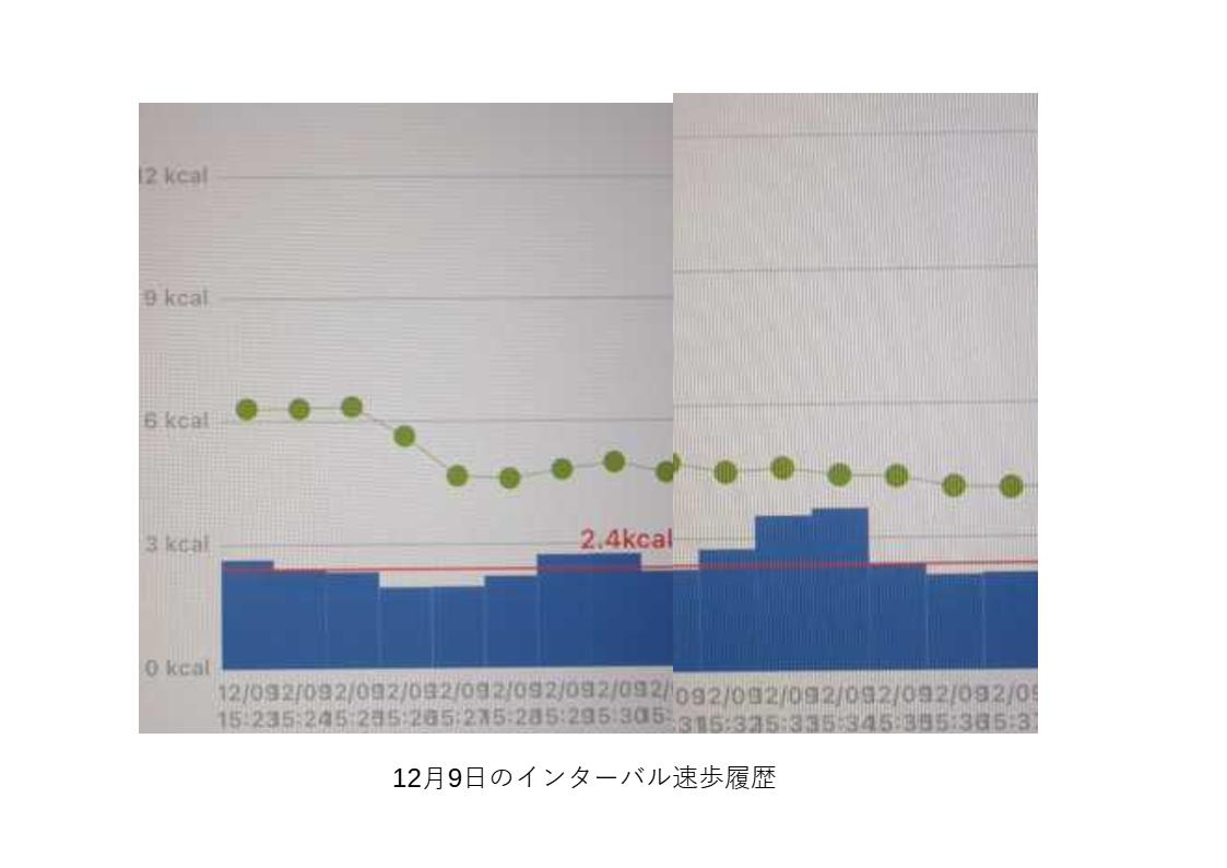 インターバル速歩12月9日の履歴