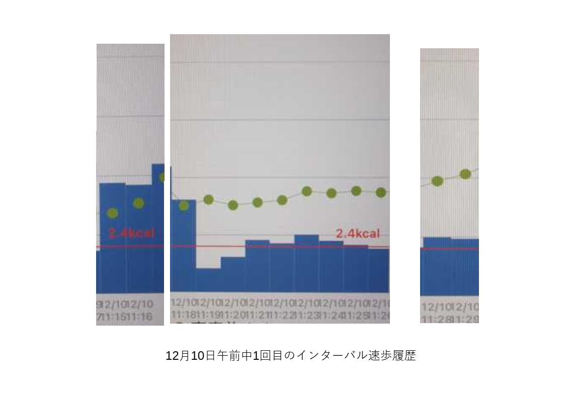 インターバル速歩12月10日1回目の履歴