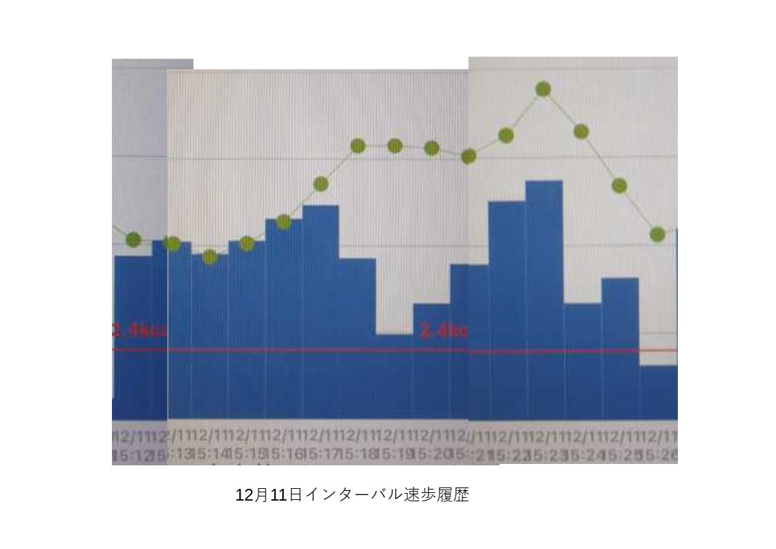 インターバル速歩12月11日の履歴