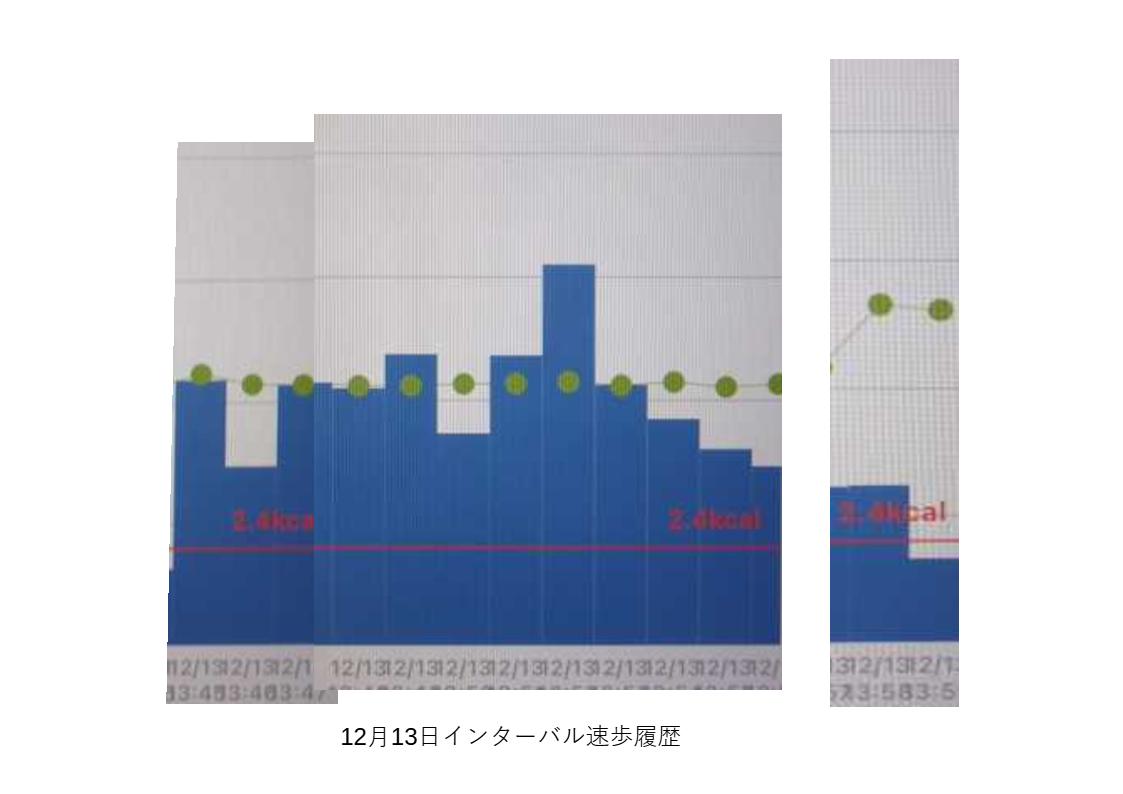 インターバル速歩12月13日の履歴