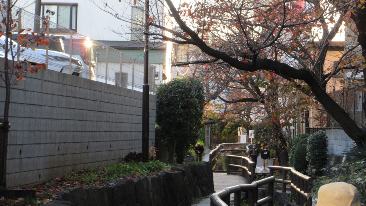 入江川せせらぎ緑道の風景