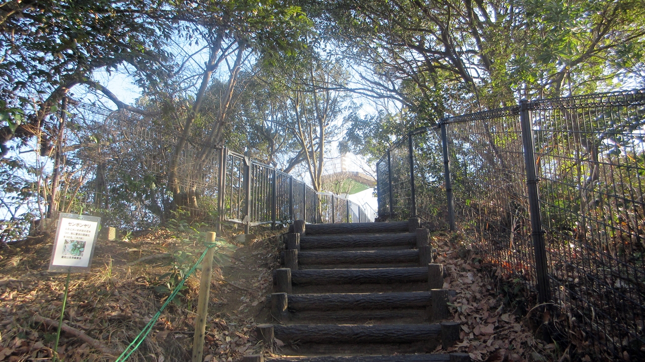 鷹取山展望台が見えてきた階段