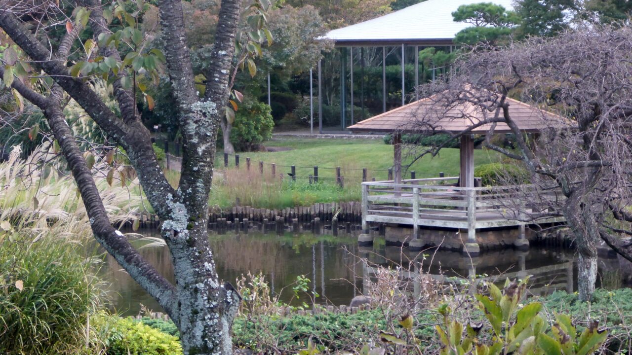 馬場花木園の池の畔のあずま屋2023年11月
