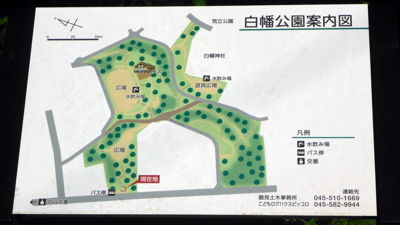 白幡公園案内図