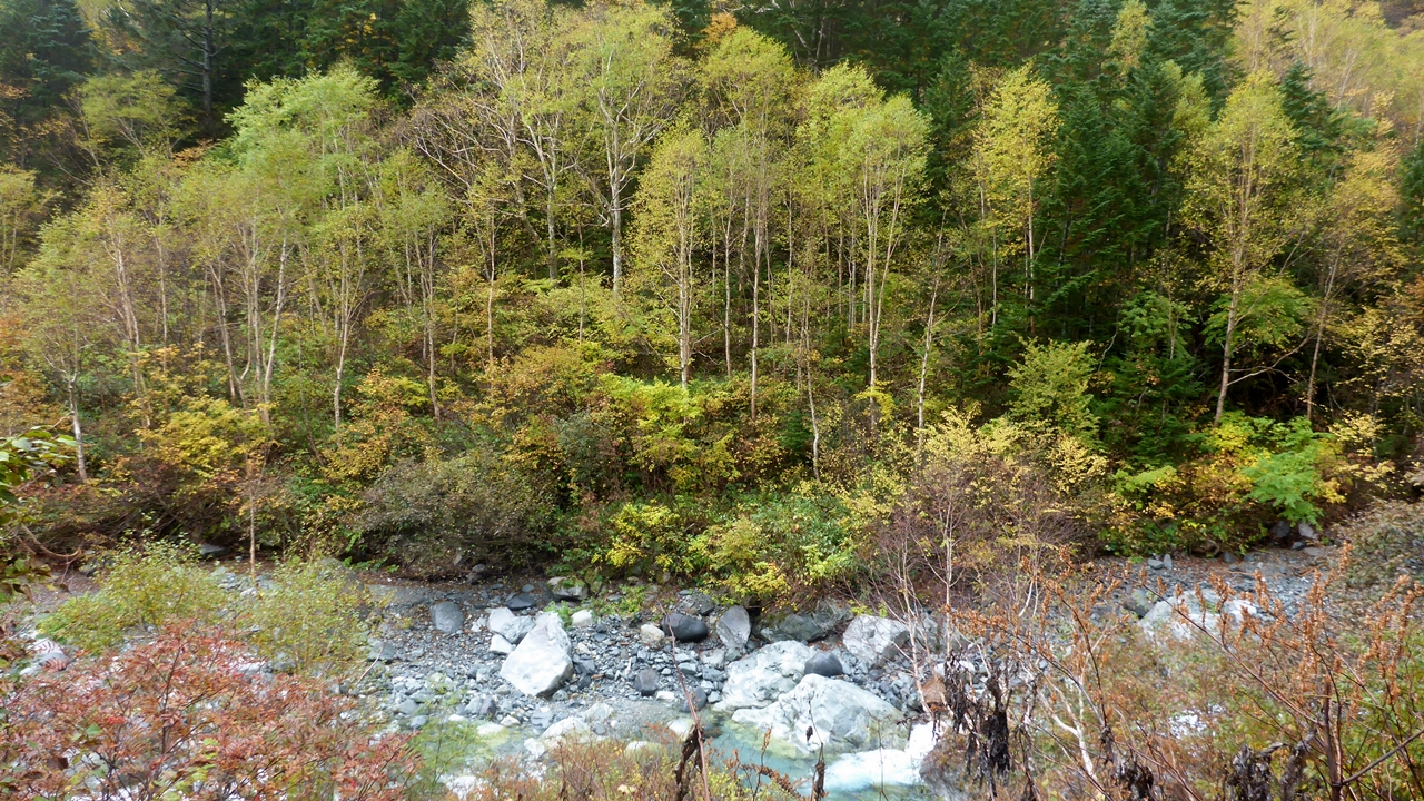 涸沢行きの途中で見えた景色