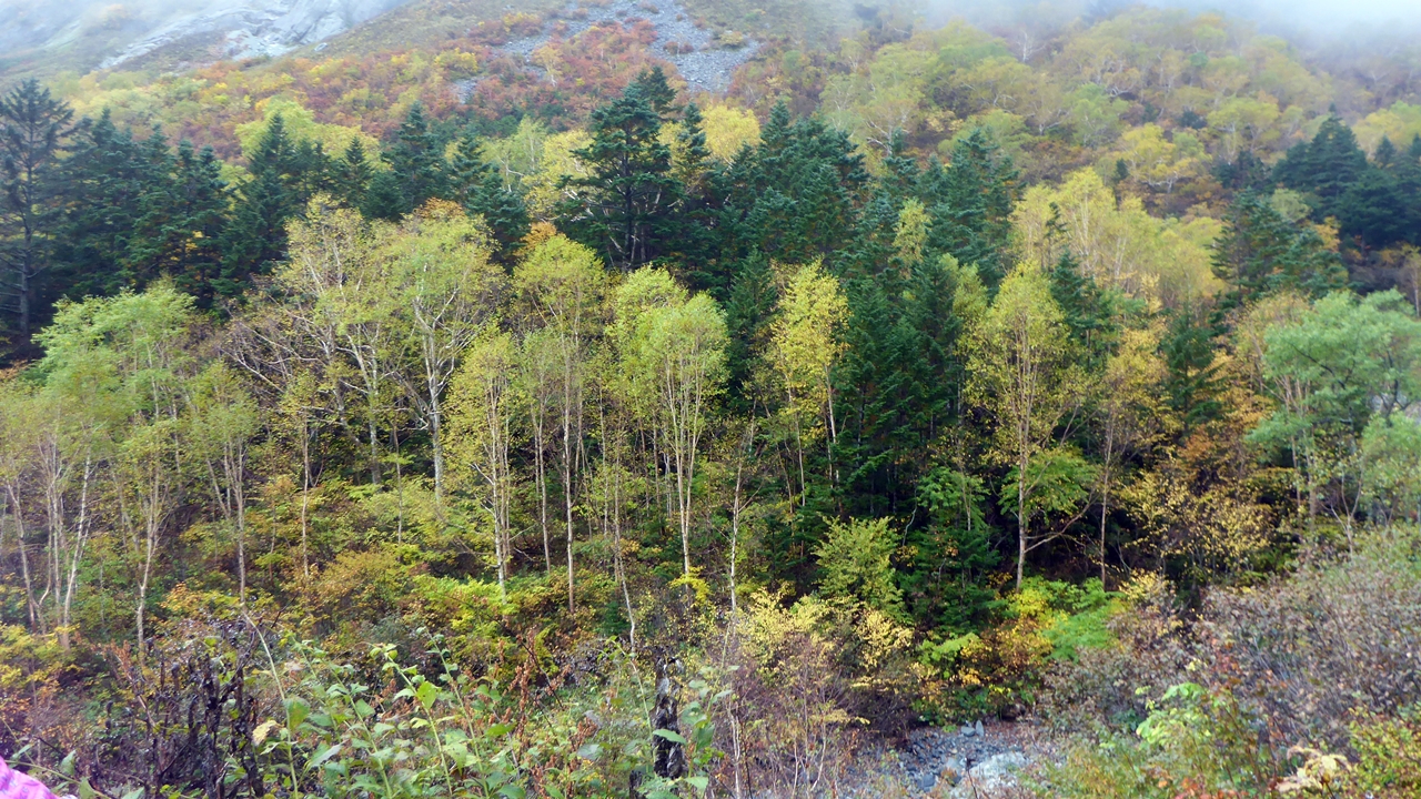 登り始めの頃の風景