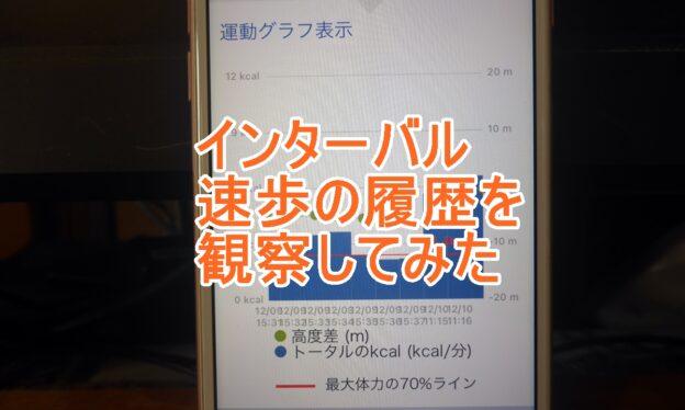インターバル速歩の履歴を観察するのタイトル画像