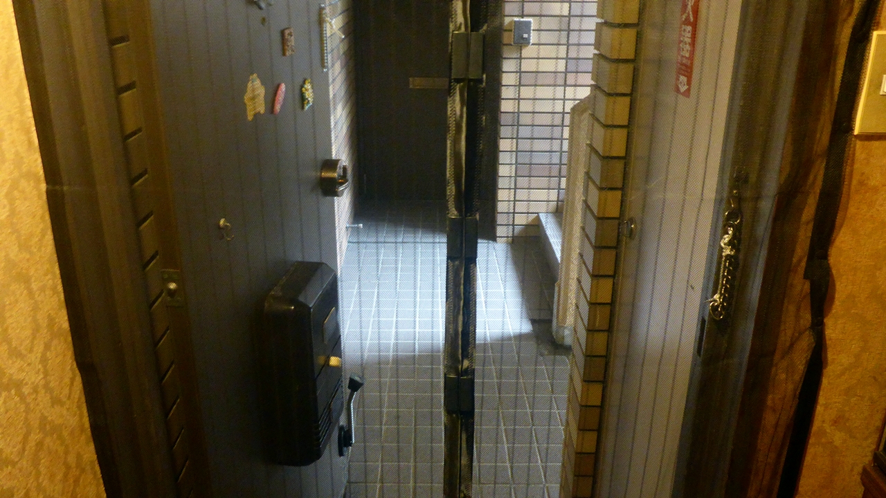 玄関ドアを開けたときのマジック網戸のようす