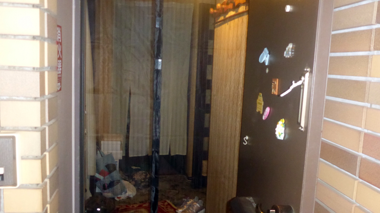 玄関ドアを開けてマジック網戸を玄関の外から見たようす