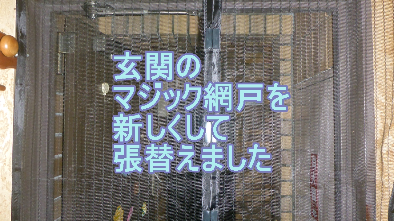 玄関網戸を新しく貼り直したのタイトル画像