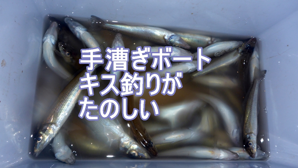 キス釣り振り返りのタイトル画像