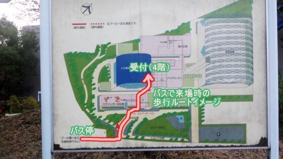 入江川温水プールバス停からの歩行ルートイメージ