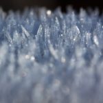 hoarfrost