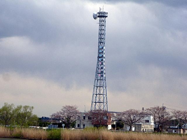 桜川沿いの鉄塔