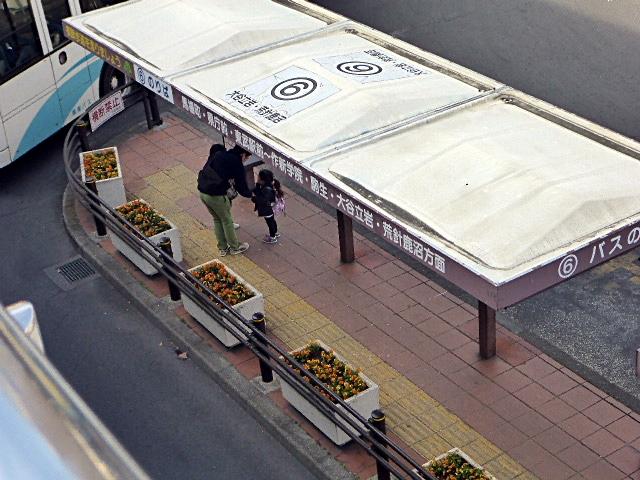 宇都宮駅前バス6番乗り場