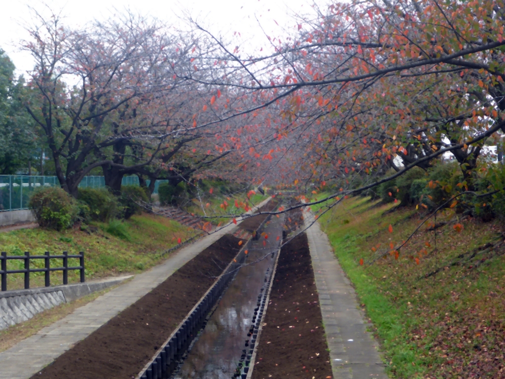 江川せせらぎ緑道