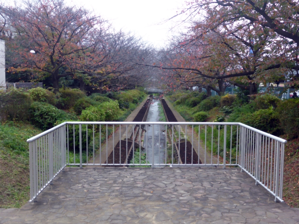 江川せせらぎ緑道