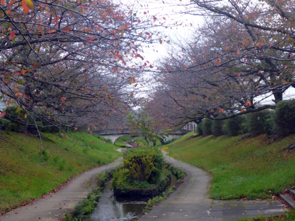 江川せせらぎ緑道