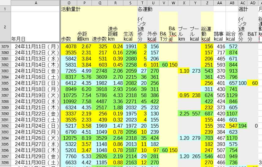 歩数などを毎日記録している表の一部