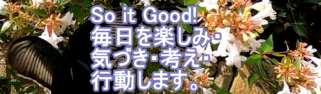 soiguトップサブタイトル画像