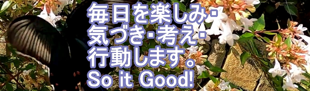 soiguサイトトップサブタイトル画像