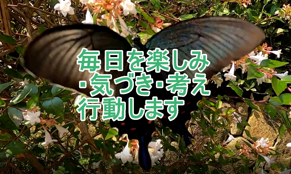 soiguブログトップタイトル画像